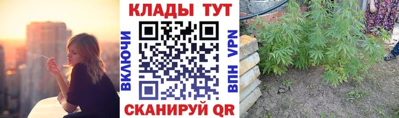 Магазины продажи наркотиков Кандалакша АМФ  Галлюциногенные грибы  КОКАИН  ГАШ  МЕФ  kraken зеркало  Alpha-PVP  Конопля 