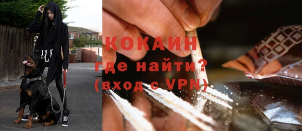 стафф Зеленокумск