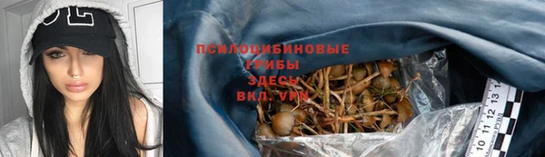 2c-b Зеленодольск