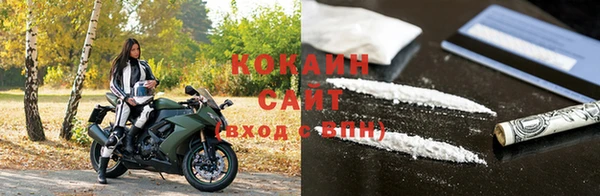 стафф Зеленокумск