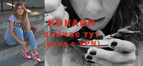 стафф Зеленокумск