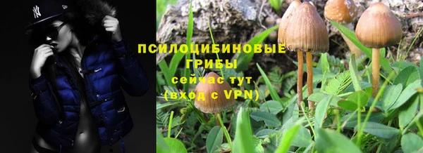 2c-b Зеленодольск